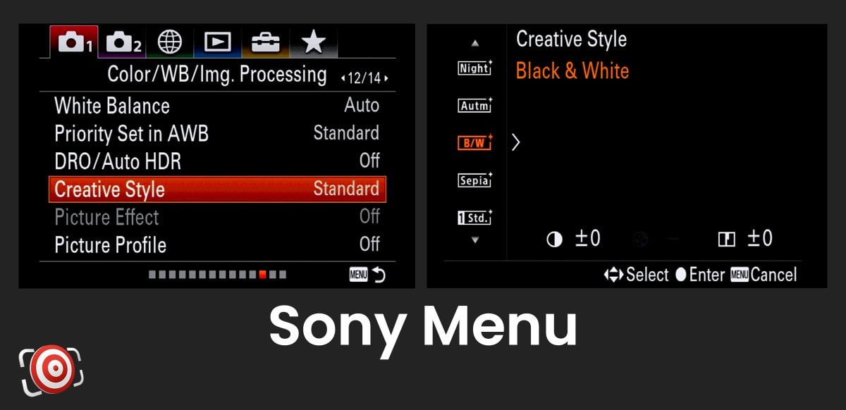 Sony menu - backlit beauty.